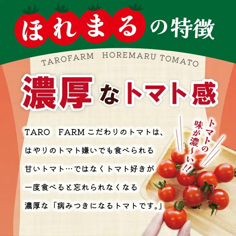 明和町産 完熟 トマト ほれまる 500g と パウンドケーキ の セット 絶品 美味しい 野菜の甘み ミニトマト 朝採り 新鮮 生鮮 野菜 あっさり お菓子 洋菓子 おやつ スイーツ おすすめ
