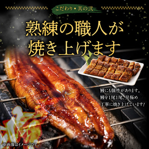 刻みうなぎの蒲焼き3袋セット_刻み うなぎ 蒲焼き 3袋 セット タレ 南九州産 国産 真空 パック 冷凍 食品 加工品 おつまみ 丼 うな丼 うな重 ひつまぶし うざく 土用 丑の日 時短調理 レン