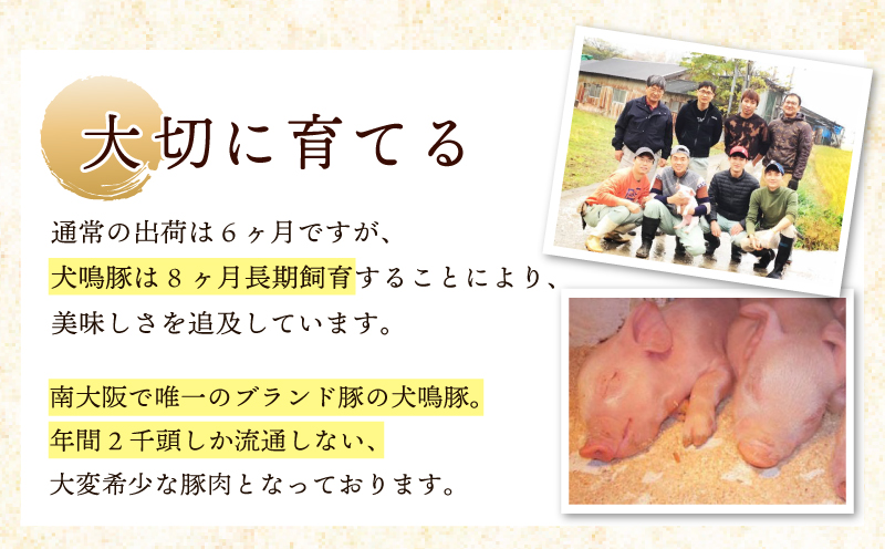 【泉佐野ブランド豚】犬鳴豚餃子 75個／手作りプレミアムハンバーグ（10個入り） 全2回【国産 豚肉 ぶたにく 定期便 食べ比べ 犬鳴ポーク 焼くだけ 人気 総菜 冷凍】 099Z558