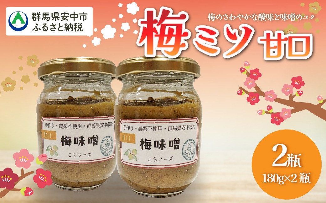 梅ミソ（甘口） ANBN002 