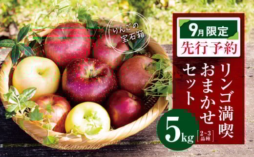 【9月限定】訳あり リンゴ満喫おまかせセット 約 5kg | ヤマモ農園 果物 フルーツ 果実 りんご 林檎 リンゴ セット 訳あり 長野県 松川村 信州
