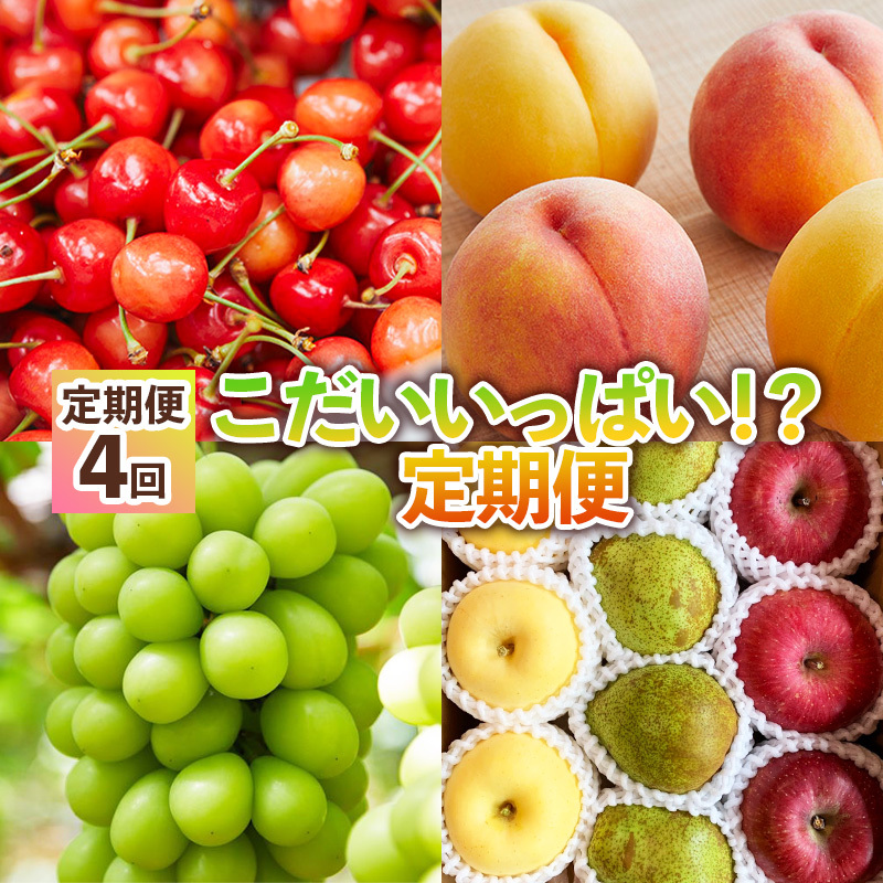 【定期便4回】こだいいっぱい！？ 定期便 【令和8年産先行予約】FS25-652