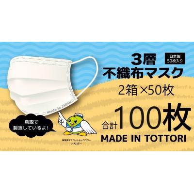 ふるさと納税 岩美町 【50枚入り×2箱(100枚)】耳が痛くなりにくい不織布マスク　鳥取岩美町製造