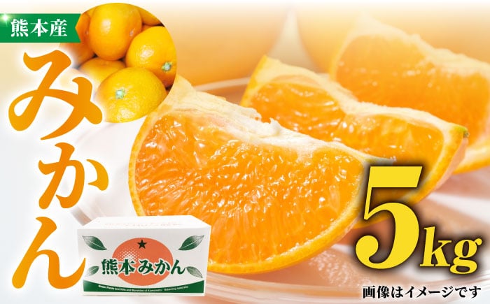 
            熊本 みかん 約 5kg 化粧箱入り 【かきやま果実】ミカン 果物 フルーツ 柑橘 贈答 [ZCJ004]
          