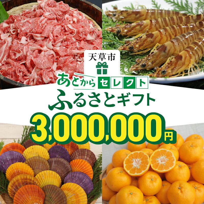 【ふるさと納税】あとからセレクト 300万円 【ふるさとギフト】 あとから選べる 肉 牛肉 黒毛和牛 定期便 魚 海鮮 ブリ 海老 車海老 干物 米 柑橘 ポンカン ふぐ 鶏肉 天草大王 パール アクセサリー あとから 選べる 天草市 熊本県