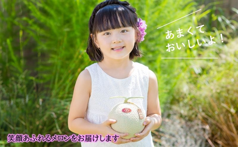 天使音（あまね）マスクメロン 1玉（1.4kg以上）高級 フルー