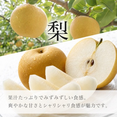 【発送月固定定期便】紀州和歌山産旬のフルーツセット(8月:桃3玉・9月:梨3玉)全2回【配送不可地域：離島・北海道・沖縄県】