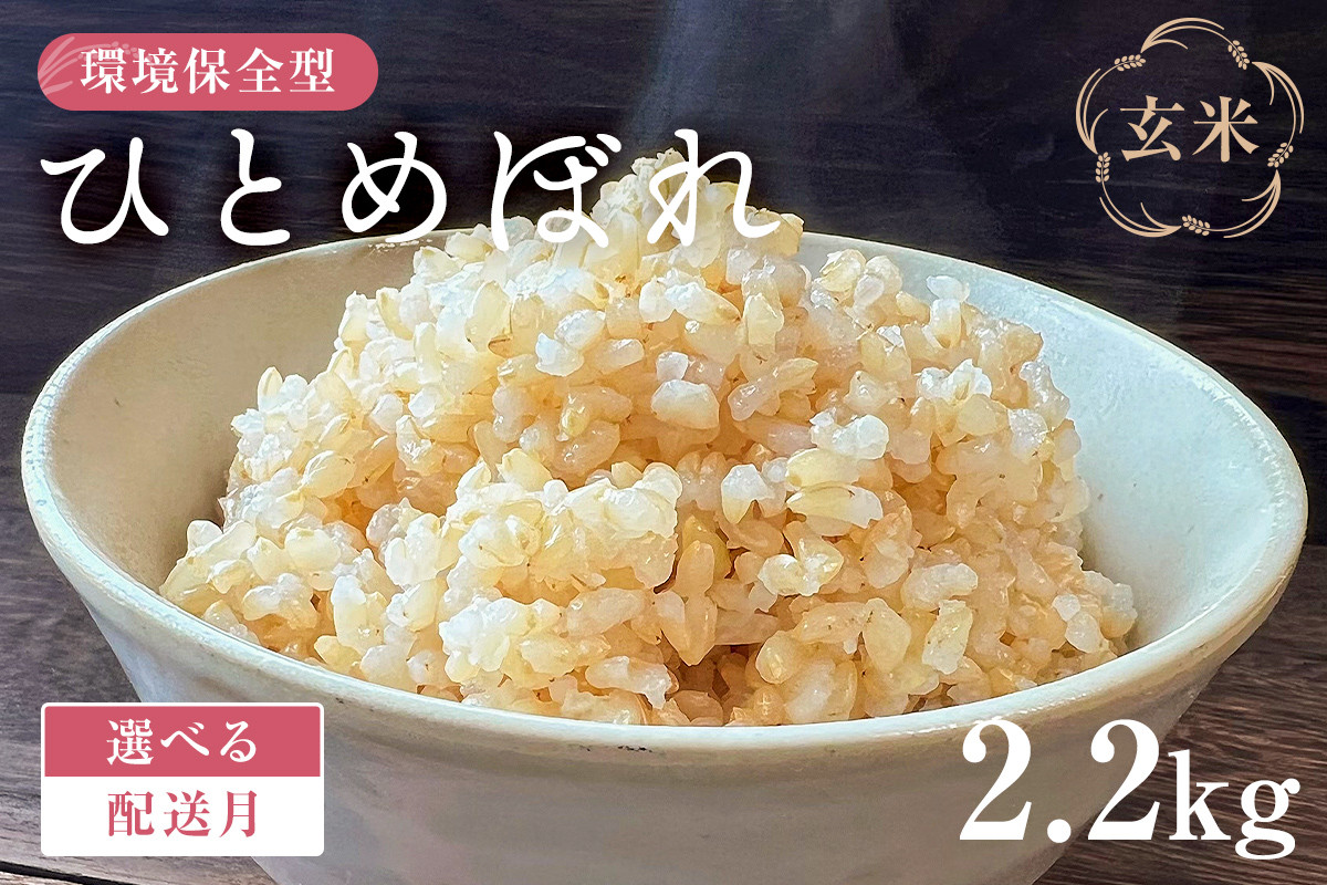 
            【配送月が選べる】環境保全型ひとめぼれ 玄米2.2kg【2024年産】 mi0036-0008
          