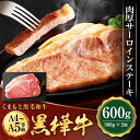 【ふるさと納税】くまもと黒毛和牛 黒樺牛 A4～A5等級 肉厚サーロインステーキ 合計600g (300g×2枚) 特大 牛肉 牛 お肉 ステーキ 黒毛和牛 国産 九州産 熊本県産 冷凍 送料無料