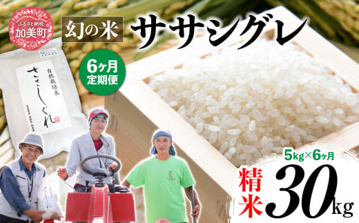 《 先行予約 》 【 6回 定期便 】ササシグレ 精米 5kg × 6回 （ 合計 30kg ）