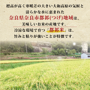 食べ比べ 5kg　つげゆたか4kg ゆうだい21 1kg　tge007