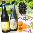 【ふるさと納税】あんず 平和酵母 ワイン 杏珠 飲み比べセット ｜ お酒 杏 酵母 特産品 千曲市 長野県 果実酒 巨峰 スパークリング 果実酒 あんずワイン 酒 アルコール