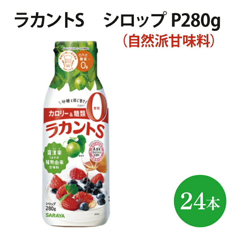 【ふるさと納税】ラカントS シロップ P280g【27019】【サラヤ SARAYA 天然素材 環境問題 SDGs】(AP110)