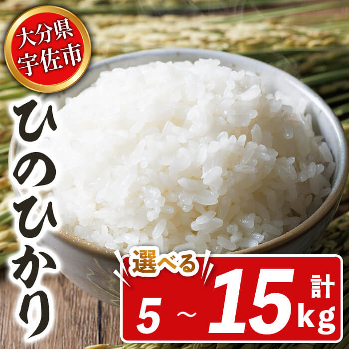 【ふるさと納税】宇佐市産ヒノヒカリ(計5kg～15kg) ＜内容量が選べる！＞＜北海道 沖縄 離島配送不可＞米 お米 ヒノヒカリ ひのひかり 白米 ご飯 大分県産 5kg 10kg【119000400・119000500・119000600】【カネガエ】