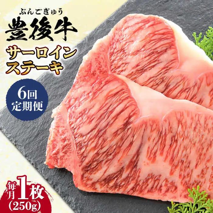 【全6回定期便】おおいた豊後牛 サーロインステーキ 250g (250g×1枚) サーロインステーキ  [AREI054]