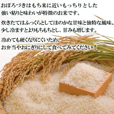 ふるさと納税 新ひだか町 令和7年度産 北海道米 おぼろづき 白米 10kg (5kg×2) |  | 01