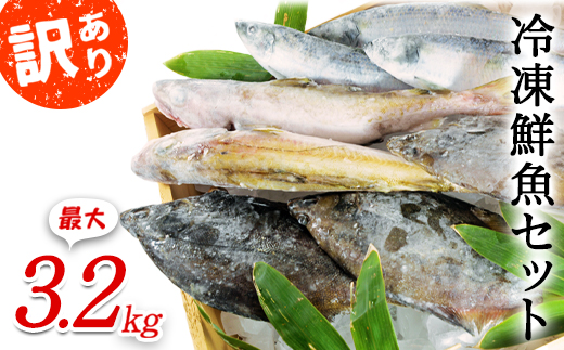 【2025年8月下旬発送】北海道産 冷凍鮮魚セット 最大3.2kg 「漁師応援プロジェクト！」 下処理済み 冷凍 鮮魚 海鮮 海産 地元