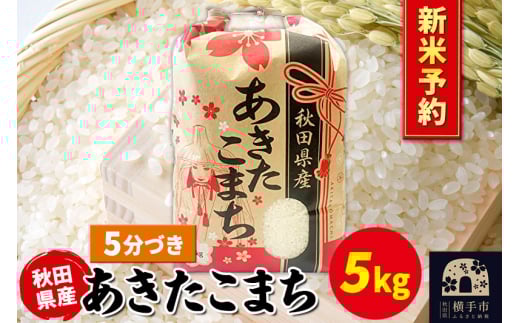 《令和7年産 新米受付》あきたこまち 5kg×1袋【5分づき】秋田県産 こまちライン