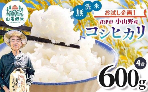 新米 無洗米 令和8年産 君津市小山野産 コシヒカリ 4合 約600g レターパックライト |  あかかげ農園 メディアで紹介 ！ 山名郷米 やまなごう まい 少量 千葉稲作 こしひかり 千葉県産 むせんまい 米 コメ こめ お米 千葉県 君津市 きみつ