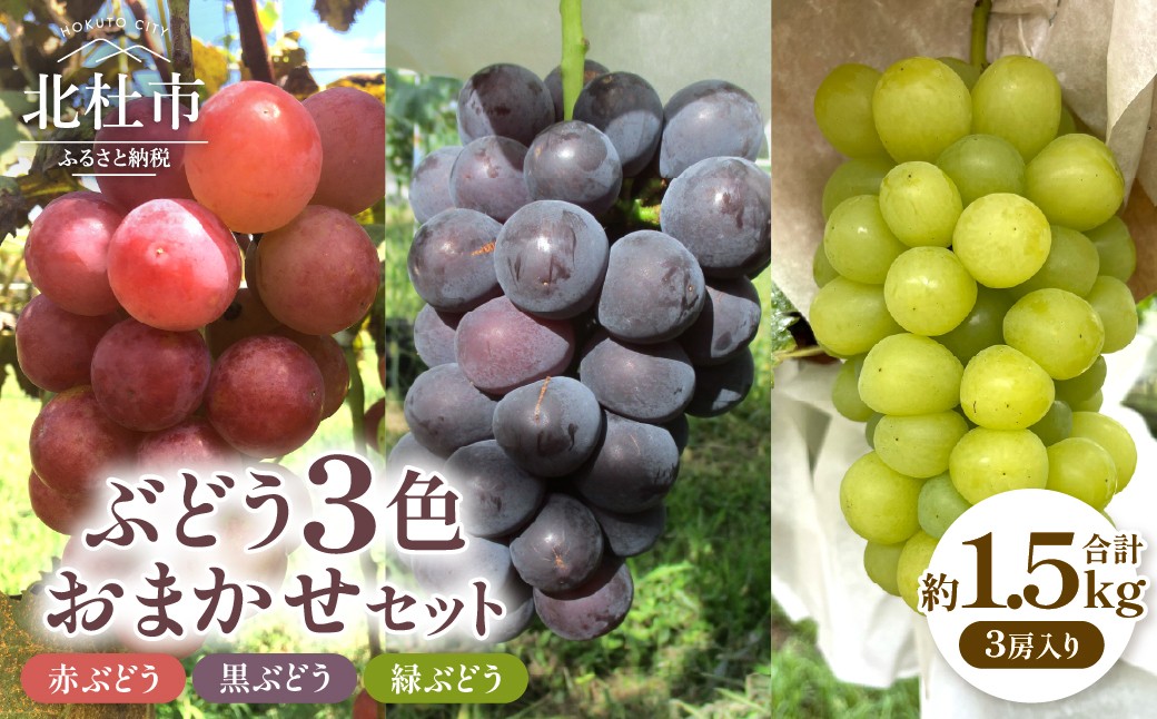 
                  【2026年発送 先行予約】ぶどう3色おまかせセット 約1.5kg　ぶどう 3房入り 山梨県産 ブドウ フルーツ 果物 葡萄 低農薬 期間限定 数量限定
                