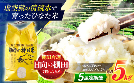 【5回定期便】米 ひなた米 5kg [OCM045]