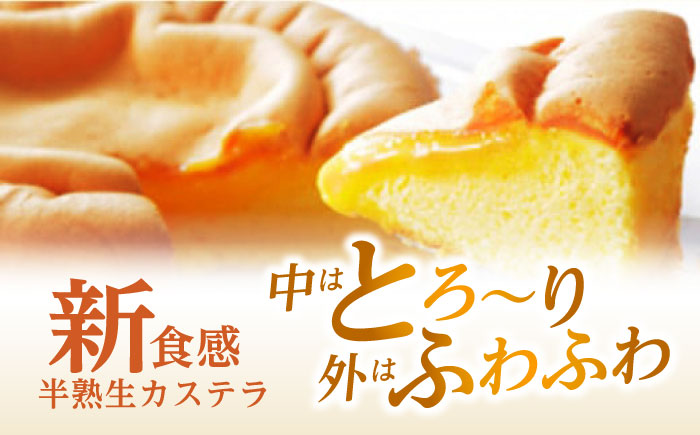 3月中がおすすめ※4月から寄附額が変わります※【最速発送】半熟生カステラ3個(プレーン・メープル・ショコラ)×3セット / カステラ かすてら 卵 人気 長崎 / 諫早市 / 株式会社菓秀苑森長 [A