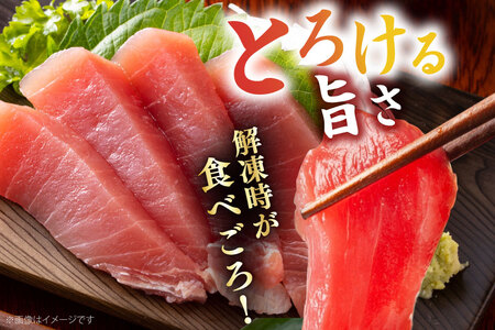 マグロ 本マグロ 大トロ 約600g 皮付き