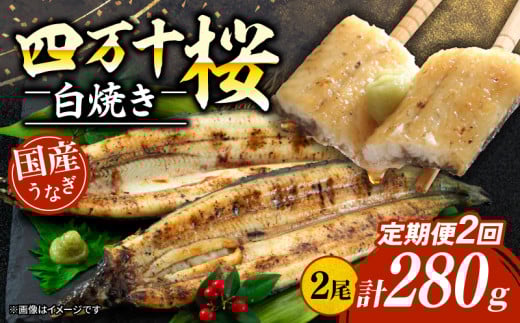 【通常用】【2回定期便】極上国産うなぎ四万十桜 白焼き約140g×2尾 | うなぎ 鰻 ウナギ 白焼き 定期便 国産 ウナギ 調理済み タレ付き  ギフト お歳暮 お正月 高級 人気 お取り寄せ グルメ 食べ比べ 冷凍