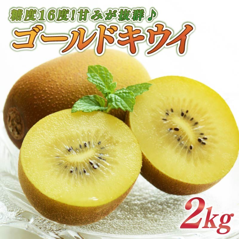 
                  【期間限定】ゴールドキウイ 2kg フルーツ 果物 スイーツ キウイ きうい ゴールド キウイ 東京ゴールド 新品種 ゴールドキウイ キウイフルーツ きういふるーつ 果汁 果実 農家直送 くだもの デザート おやつ おいしい 贈答用 ギフト プレゼント 贈答 国産 新鮮 安心 静岡キウイフルーツ 静岡キウイ 静岡きうい 牧之原きうい 牧之原キウイ 牧之原キウイフルーツ 落合農園 静岡県 牧之原市
                