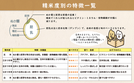 S253【令和7年産】境町こだわり玄米 「コシヒカリ」 30kg