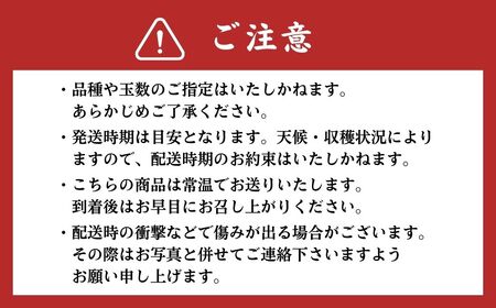 熊本県ＪＡくま産 球磨の梨 5kg(12玉～16玉 旬な品種) お届け時期：2025年8月上旬～10月上旬