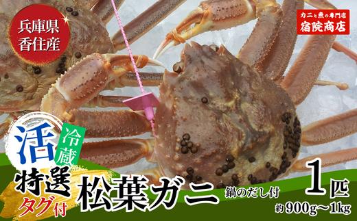 【先行予約】【特選 活 松葉ガニ 生 1匹（約900g～1kg）冷蔵】11月中旬以降配送予定 水揚げの関係上、配達日の指定はできません 香住で水揚げされた新鮮な活松葉ガニをお届け カニの本場 香住 新鮮 国産 鍋 かにすき 脚 足 爪 身 肩 大人気 ふるさと納税 兵庫県 香美町 香住 柴山 ズワイガニ 宿院商店 100000円 33-27