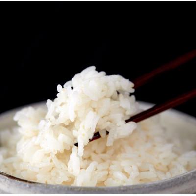 ふるさと納税 東温市 〈坂本自然農場 穂田琉〉 特別栽培米:ひめの凜　精米2kg |  | 01