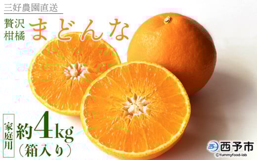 紅まどんなと同品種！＜贅沢柑橘「まどんな」家庭用 箱込約4kg＞ 果物 フルーツ マドンナ みかん ミカン 蜜柑 オレンジ 愛媛果試第28号 柑橘 訳あり 産地直送 三好農園 西宇和 愛媛県 西予市【常温】『2025年11月中旬～2026年1月上旬迄に順次出荷予定』