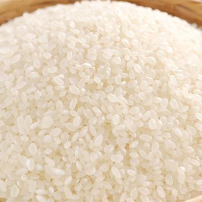 ふるさと納税 村山市 令和7年産　棚田米つや姫5kg |  | 01
