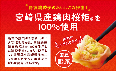 悠瑠里特製餃子60個&鶏餃子60個 食べ比べセット 餃子 ぎょうざ 惣菜