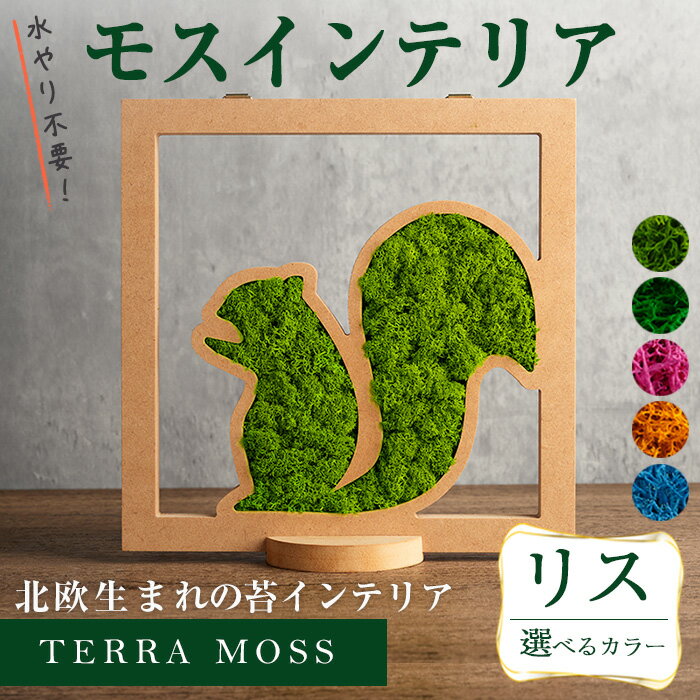 【ふるさと納税】 モスインテリア「リス」＜横200mm・高さ200mm・幅15mm＞ スプリンググリーン・アップルグリーン・フクシャ・フォールイエローブルー 選べるカラー 観葉植物 苔 コケ テラモス インテリア 植物 【結び】 sh028-A・sh028-B・sh028-C・sh028-D・sh028-E