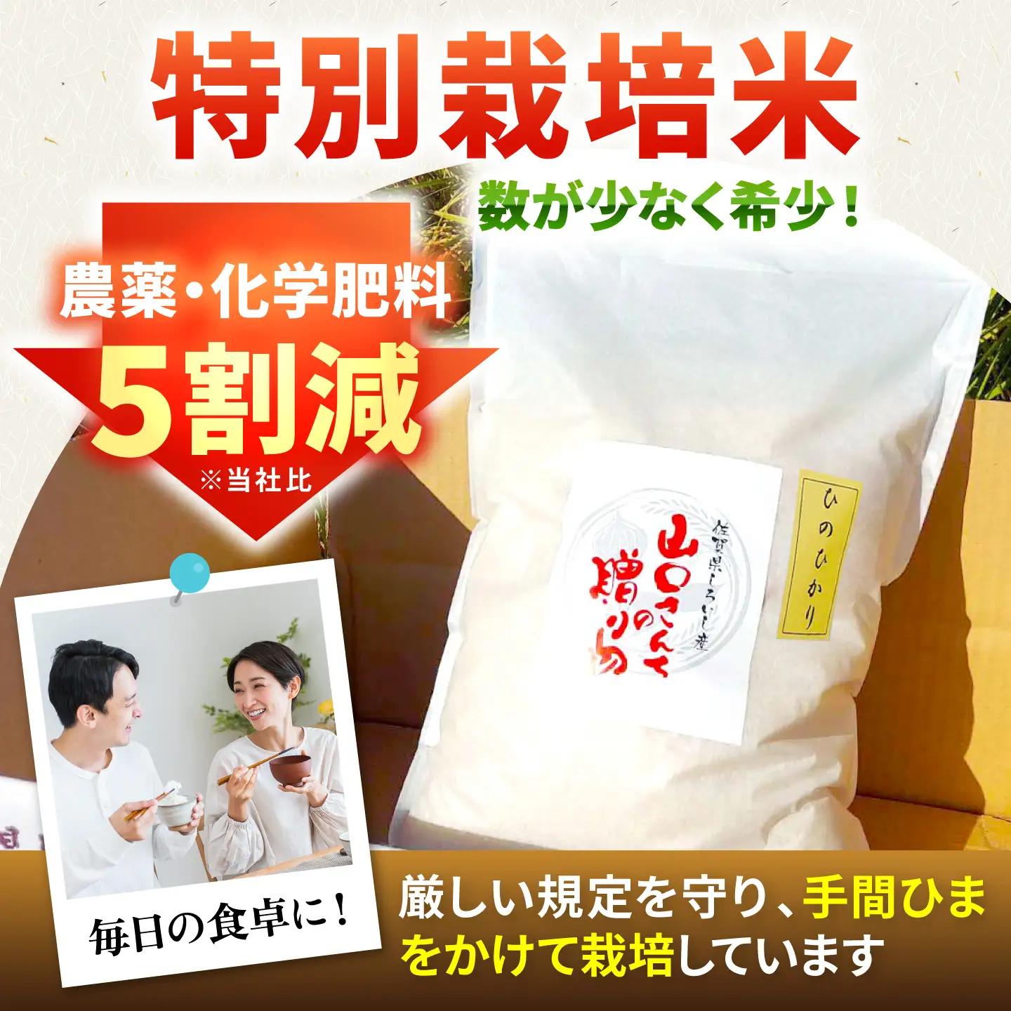 【先行予約 2026年10月～発送】令和8年産 新米 ひのひかり 5kg（白米） / 白米 [IAS010]