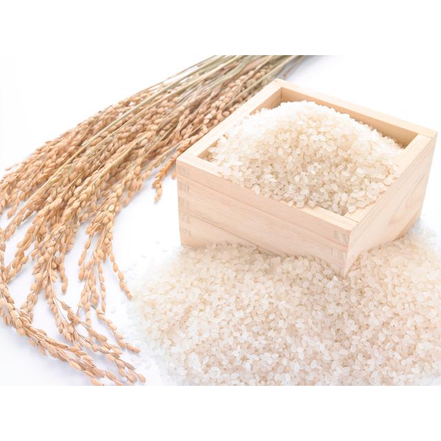 ふるさと納税 沼田市 【5kg】天狗印厳選米「コシヒカリ100」令和7年産