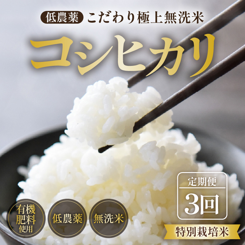 【先行予約】【令和7年産 新米】《定期便》5kg×3回 15kg 特別栽培米 コシヒカリ 無洗米 低農薬 《食味値85点以上！こだわり極上無洗米》 / 福井県 あわら 北陸 米 お米 人気 高品質 鮮度抜群 新米 ※2025年9月上旬より順次発送 [aw032-d004]
