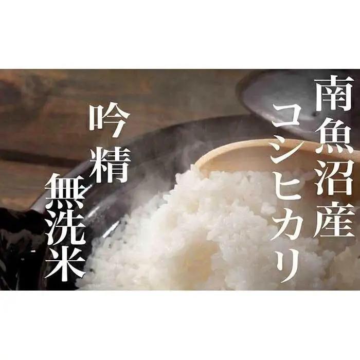 【令和7年産】【頒布会4Kg×全12回】無洗米 吟精 南魚沼産コシヒカリ【定期便 銘柄米 ブランド米 無洗米 こしひかり コシヒカリ 魚沼産 新潟米 産地直送 お米 米 こめ コメ ご飯 御飯 ごはん