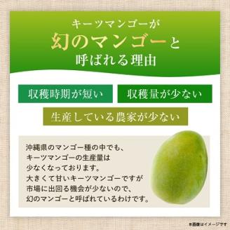 【2024年発送】＜優品＞幻のキーツマンゴー約2kg(化粧箱)2玉～3玉