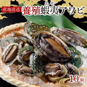 蝦夷あわび 10個 養殖 産地直送 活あわび 鮑 エゾアワビ あわび アワビ 鮑 Abalone ステーキ  バターソテー 正月 お正月 おせち  刺し身 刺身 バーベキュー BBQ ごはん 夕飯 おかず おつまみ 晩酌 米 丼 海産物 海鮮 魚介 魚介類 贈答品 お中元 お歳暮 大船渡 三陸 岩手県 国産 小分け 冷凍