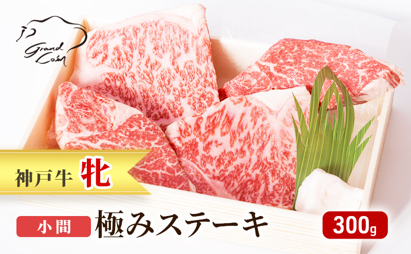 
神戸ビーフ 神戸牛 牝 極みステーキ 小間 300g 川岸畜産 ステーキ 焼肉 冷凍 肉 牛肉

