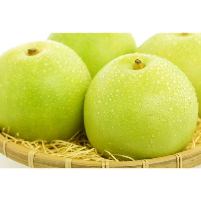 【ふるさと納税】〈先行予約〉 青梨 5kg 梨 瑞秋 先行予約 なし ナシ pear 期間限定 季節限定 果物 くだもの フルーツ お取り寄せ 特産品 島根県 益田市