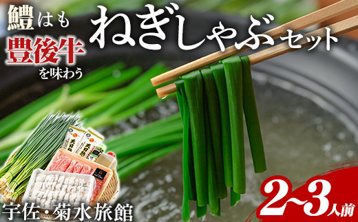
                  ねぎしゃぶ(6品)ねぎしゃぶ しゃぶしゃぶ 豊後牛 鱧 はも 鍋 お鍋 セット【101500302】【菊水旅館】
                