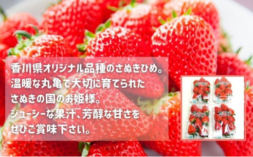 いちごのお姫様 さぬきひめ 2月中旬から順次発送 選べる容量 約250g×8パック 苺 いちご 果物 フルーツ 果物 ブランド さぬき姫 ジューシー 果汁 甘い 季節 デザート スイーツ ふるさと納税
