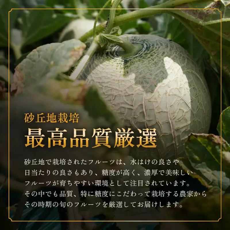 【先行予約】【定期便 3回コース】 坂井市フルーツ三昧！！「極」 B 【2027年7月上旬以降順次発送開始予定】定期便 くだもの 果物 [F-3202]