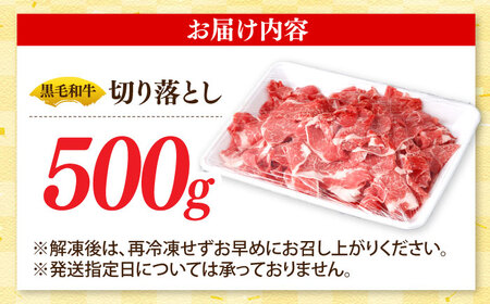 牛肉切り落とし500g [SBA094] 