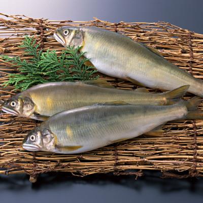 ふるさと納税 延岡市 延岡産活〆冷凍子持あゆ　1kg